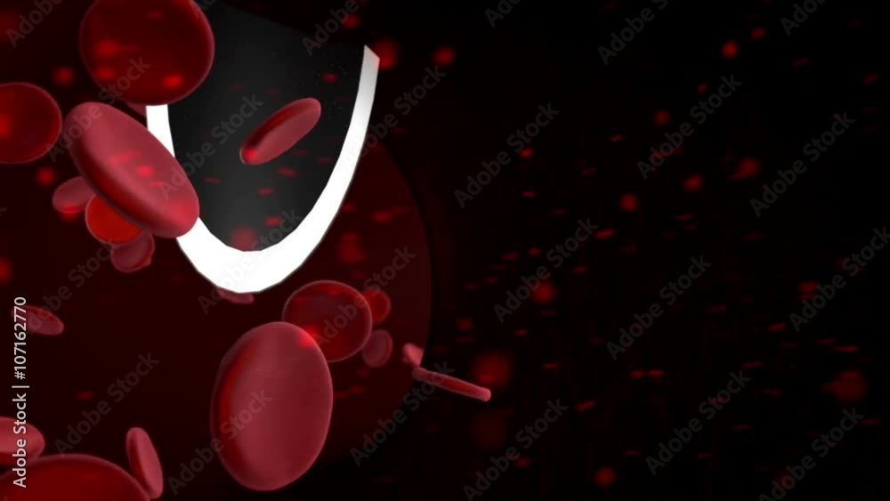 Flight at the vein around the syringe needle, which injects the medication, 3d animation, microscope view