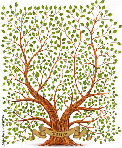 Old vintage tree vector illustration
