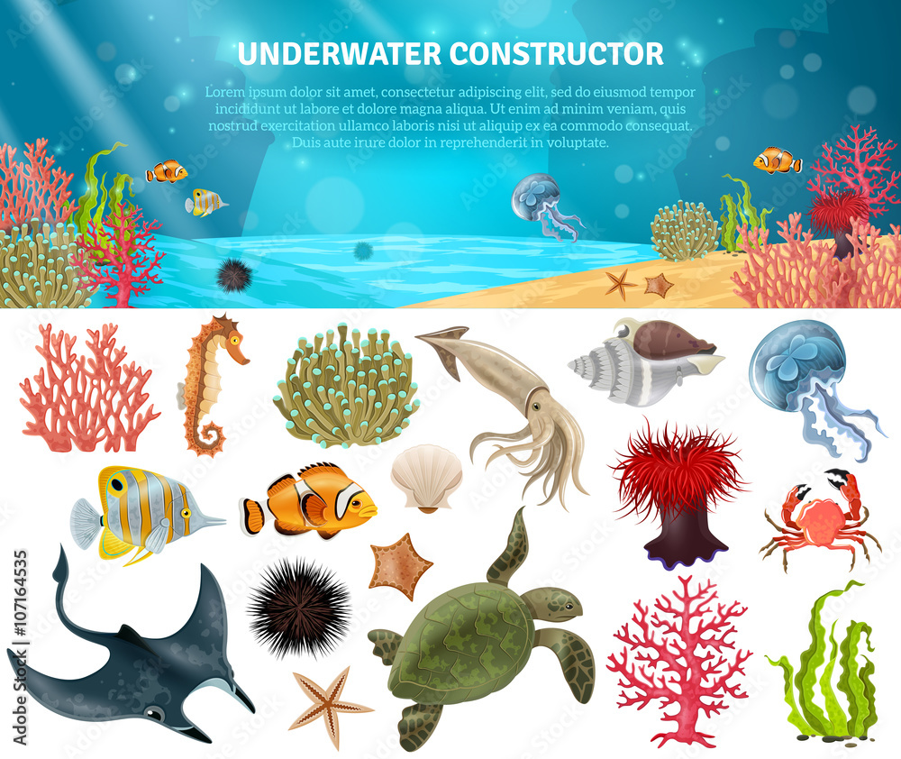 Obraz premium Sea Life Konstruktor na białym tle zestaw ikon