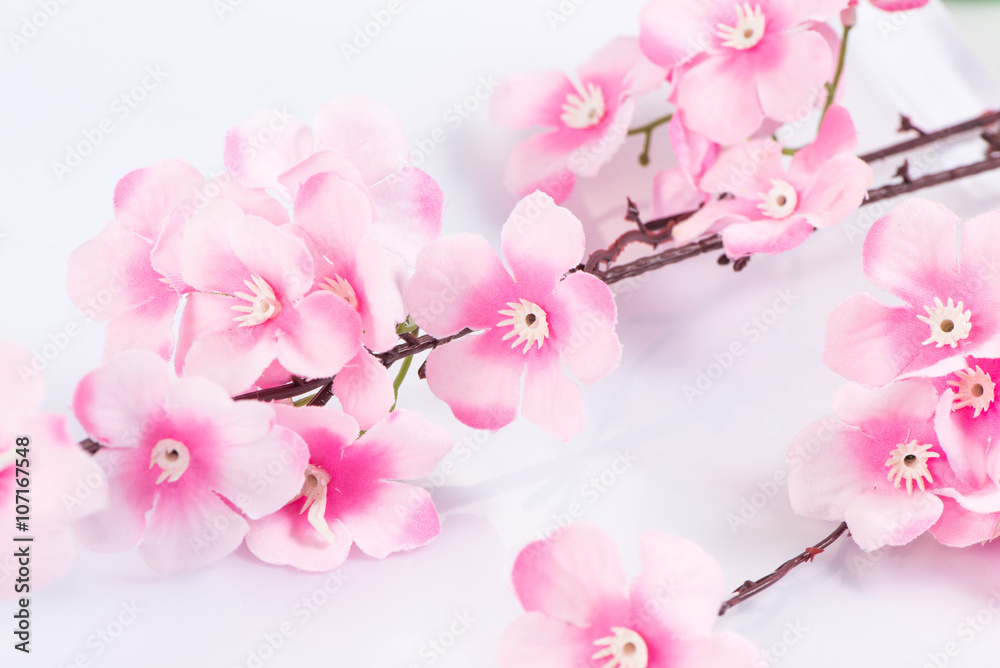 The plastic sakura on white background, isolated The plastic sakura on white background, isolated