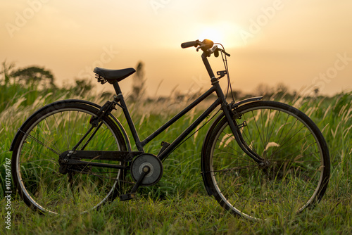 Beautiful Green Grass Wild Flowers and Vintage Bicycle at Sunset