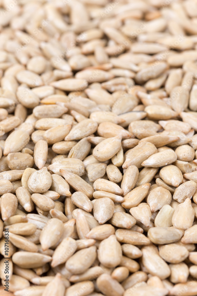 Sunflower seeds background macro photography Sunflower seeds background macro photography