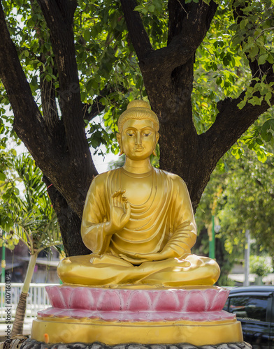 Buddha Image