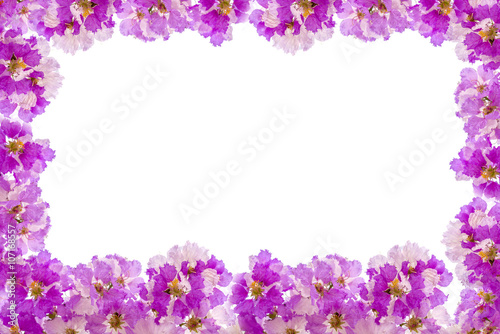 White & Pink flowers blooming background isolated on white © anatskwong