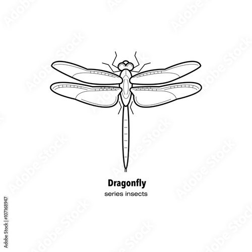 The insect - dragonfly.