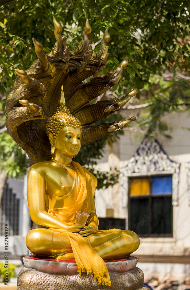 Obraz premium Buddha Image
