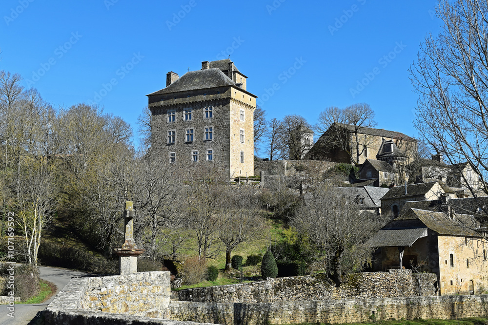 Château de Montrozier - Aveyron