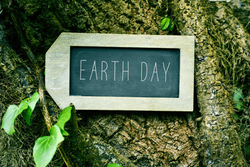 chalkboard with the text earth day in a tree