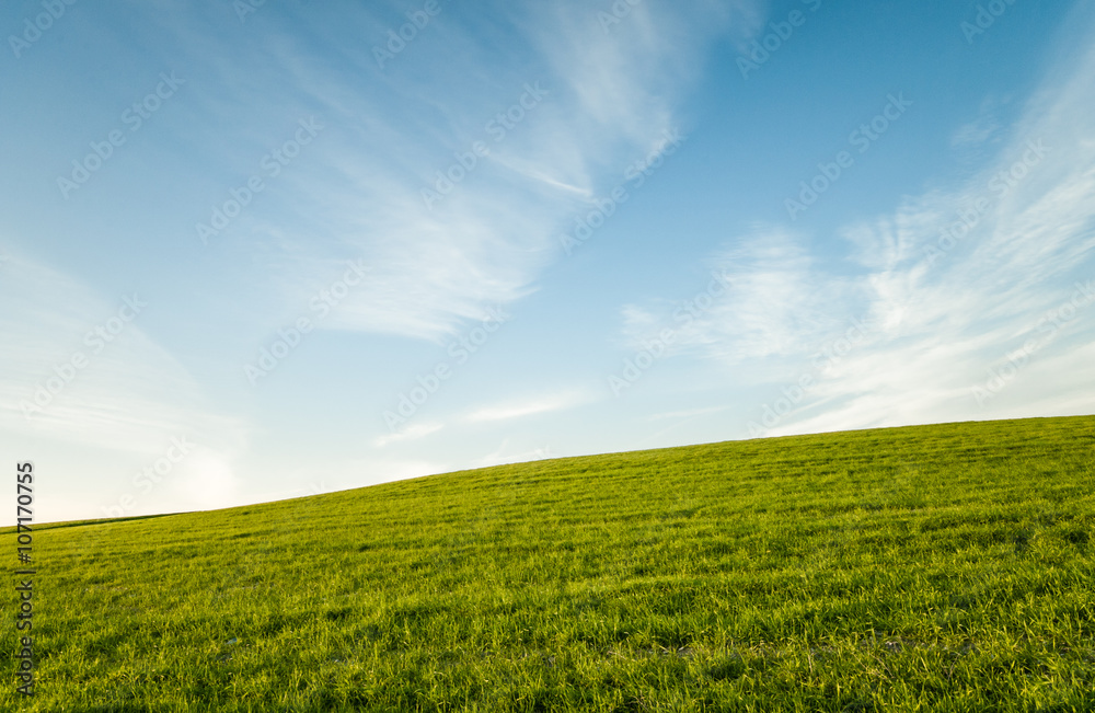  Green field and Blue cloudy sky