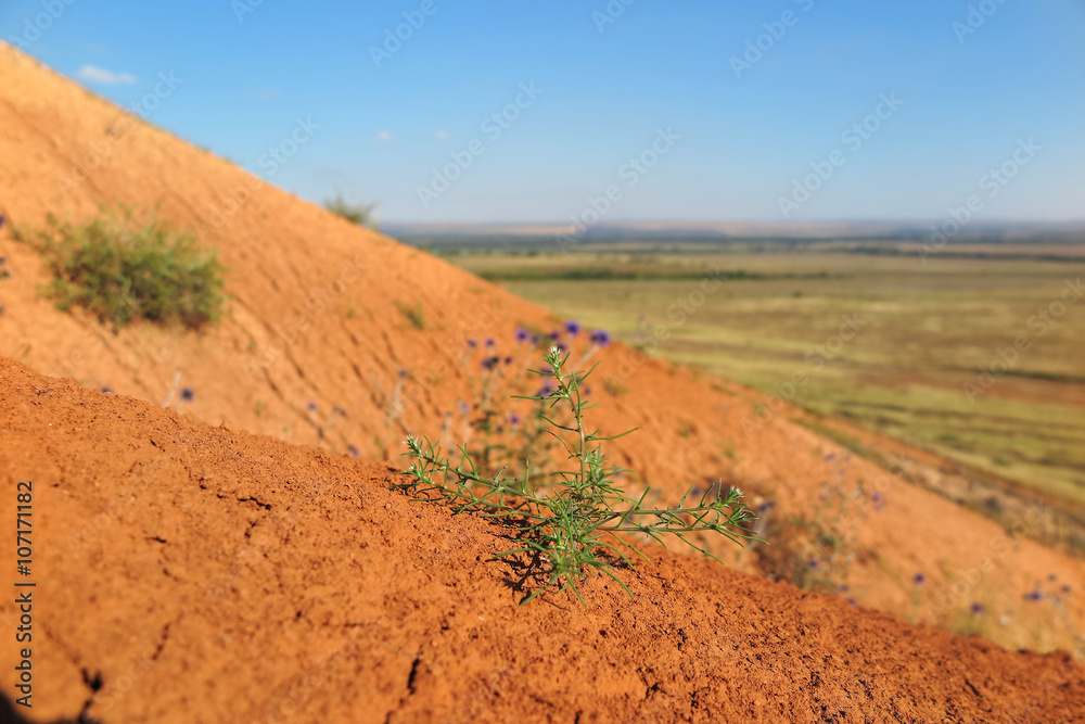 Red clay hill slope with scarce vegetation against a blue sky