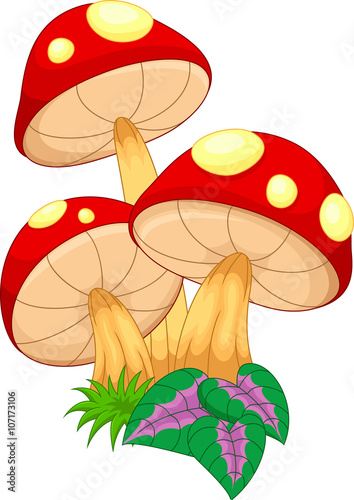 Vector illustration of mushroom cartoon