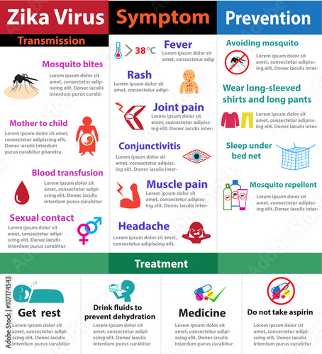 Zika virus infographics, vector