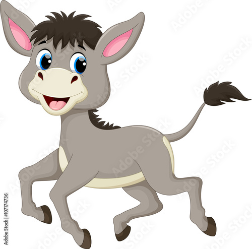 Funny donkey cartoon