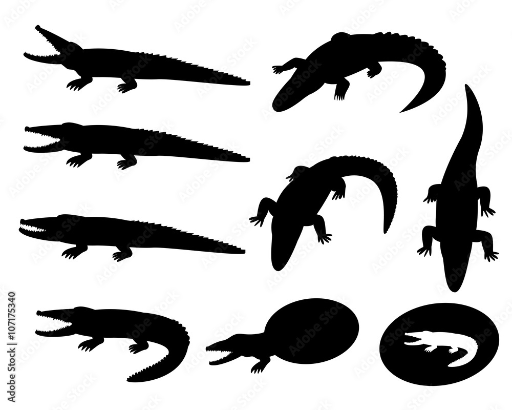 Fototapeta premium Set of crocodile silhouettes on white, vector