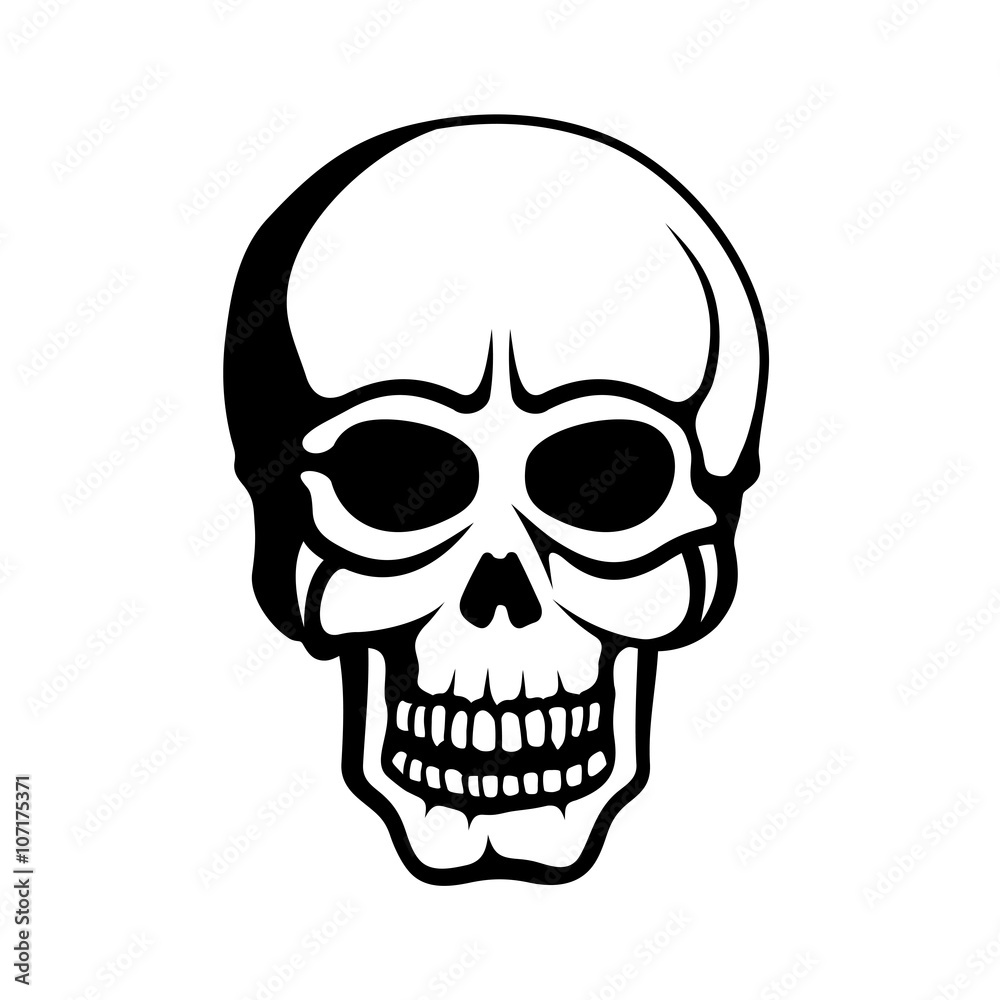 Human Skull on White Background. Vector Human Skull on White Background. Vector