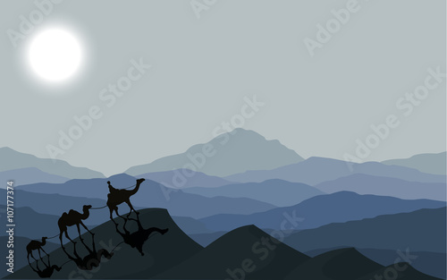 Caravan with camels at night