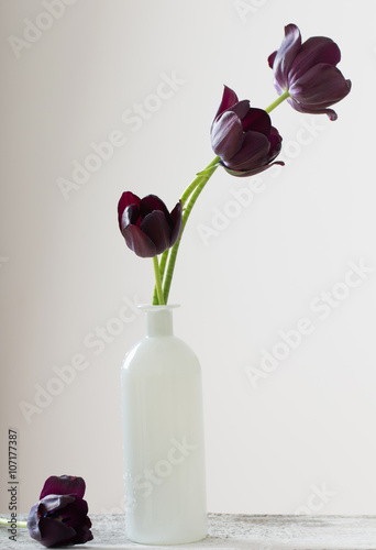 tulips in white vase on wooden table photo