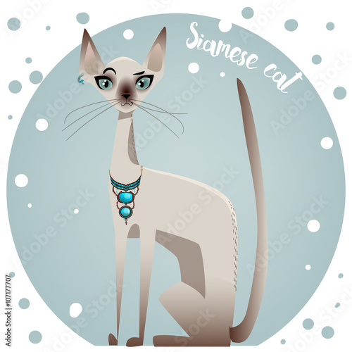 spotted pedigreed cat