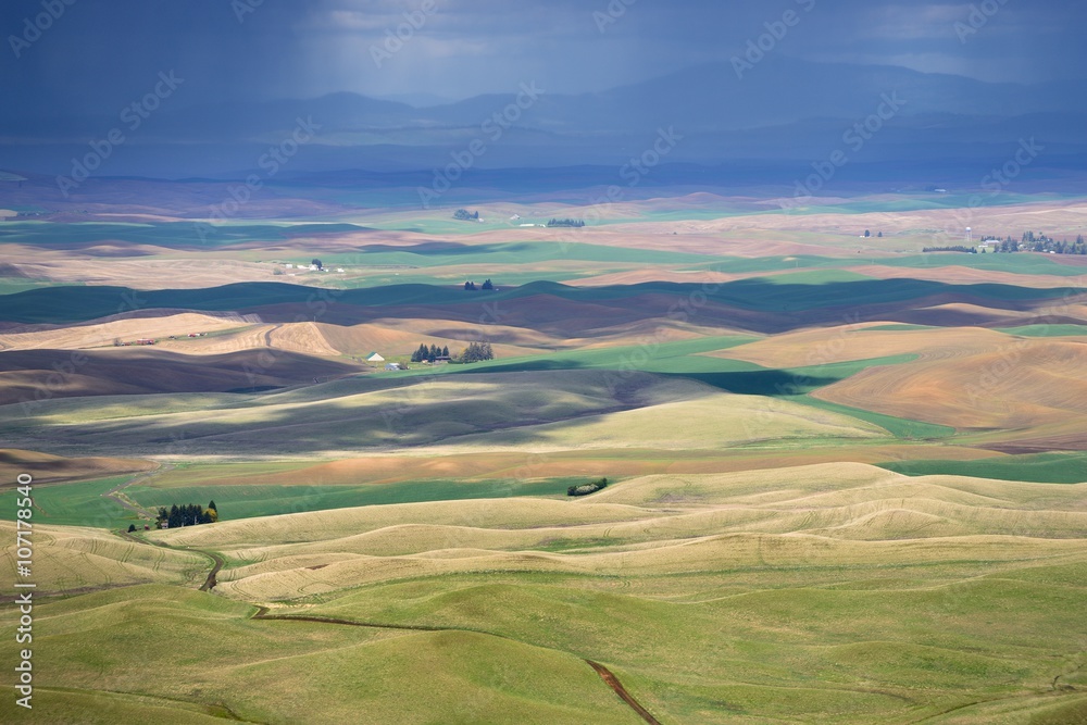 The rolling hills farmland with rain and sun. Palouse Hills in Washington, United State of America.