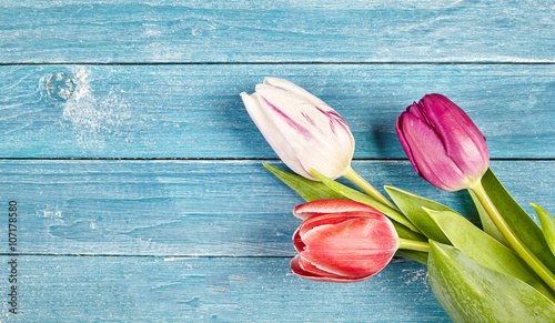 Three fresh spring tulips with copy space #107178580