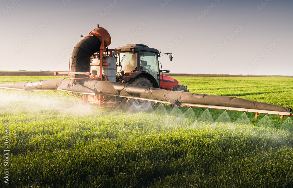 Obraz premium Tractor spraying wheat field