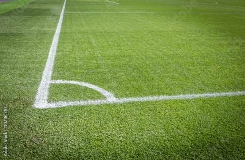 natural green soccer field with white lines