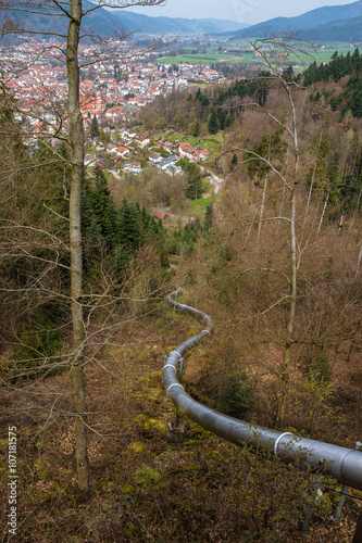 Baumkronenweg Waldkirch Tree Top Walk
