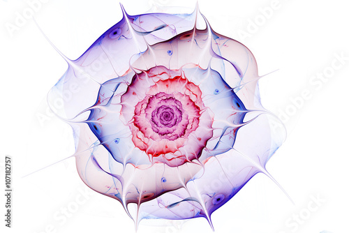 Gentle and soft abstract fractal flower