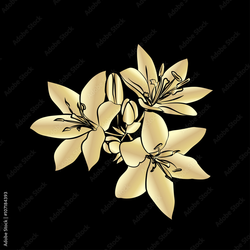 Fototapeta premium Golden silhouette Lily.