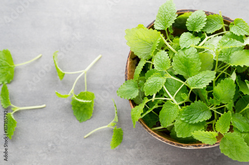 Fresh raw mint leaves on gray background.