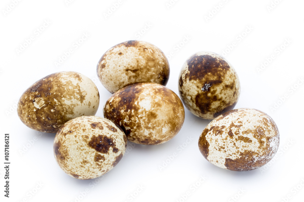 Quail eggs the isolated on a white background. Quail eggs the isolated on a white background.