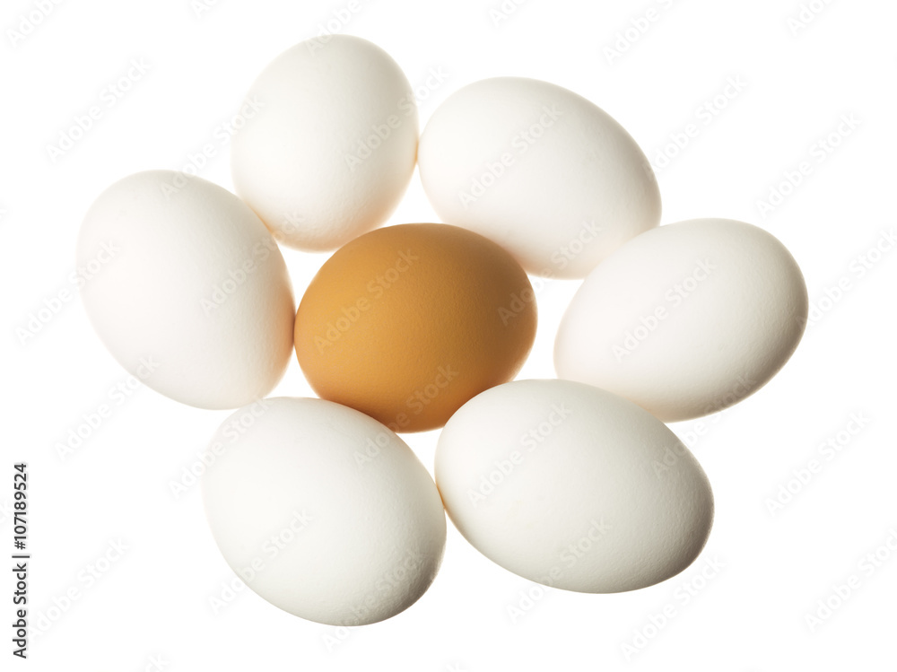 brown egg surrounded by white eggs on white. brown egg surrounded by white eggs on white.