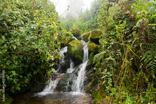 waterfall in ruwenzori mountains, uganda photo