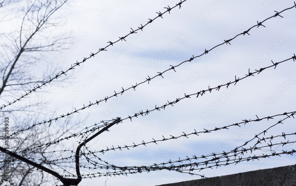 Security with a barbed wire fence. Protection concept design. Security with a barbed wire fence. Protection concept design.
