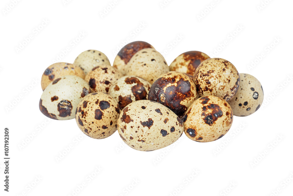 Obraz premium Quail eggs on white