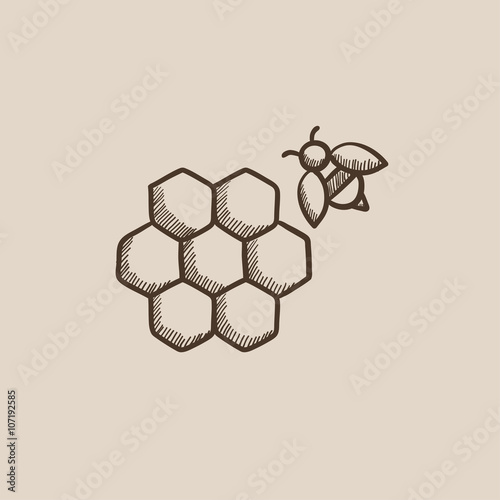 Honeycomb and bee sketch icon.