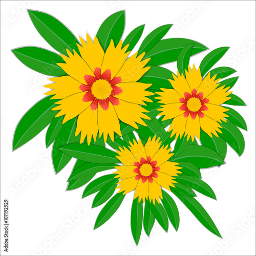 Coreopsis grandiflora yello...