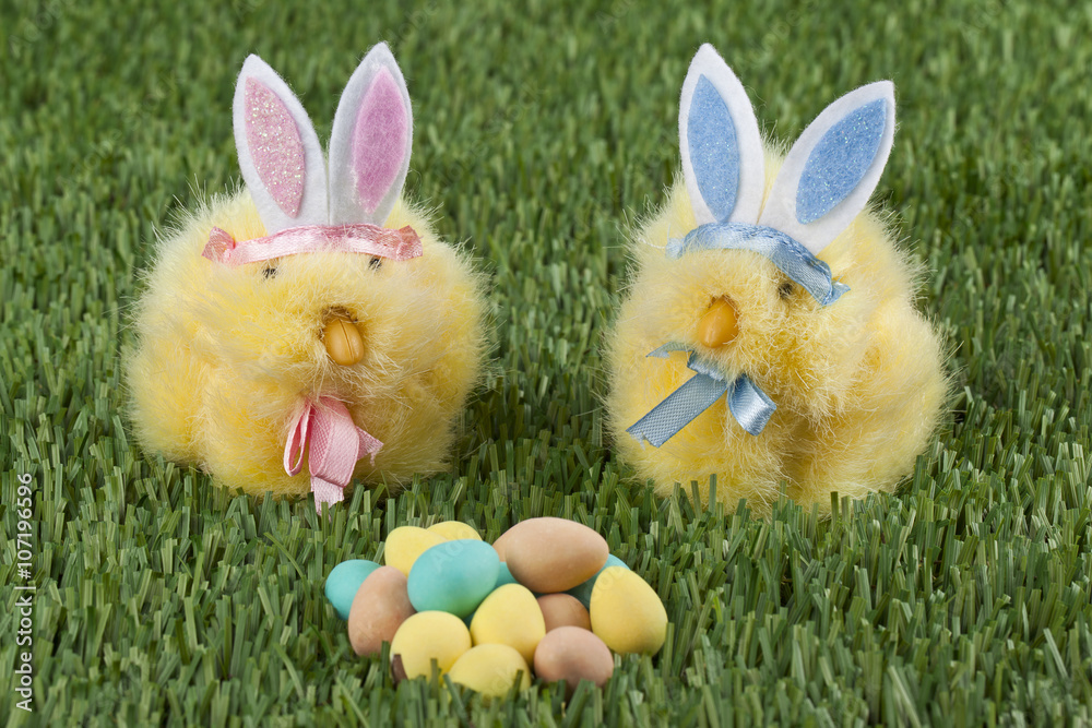 Obraz premium easter bunnies and colorful easter eggs.