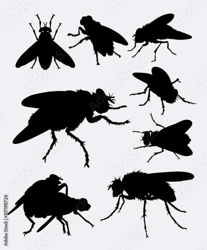 Flies insect animal silhouette. Good use for symbol, logo, web icon, mascot, sign, sticker design, or any design you want.