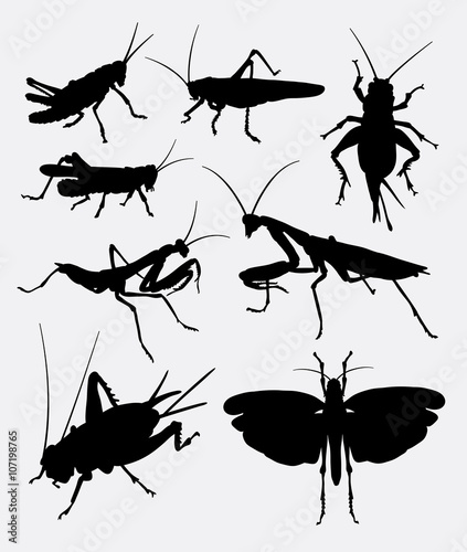 Grasshopper and cricket insect animal silhouette. good use for symbol, logo, web icon, mascot, sticker, or any design you want. Easy to use.