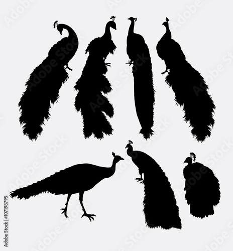 Peacock bird animal silhouette. Good use for symbol, logo, web icon, sticker, mascot, or any design you want. 