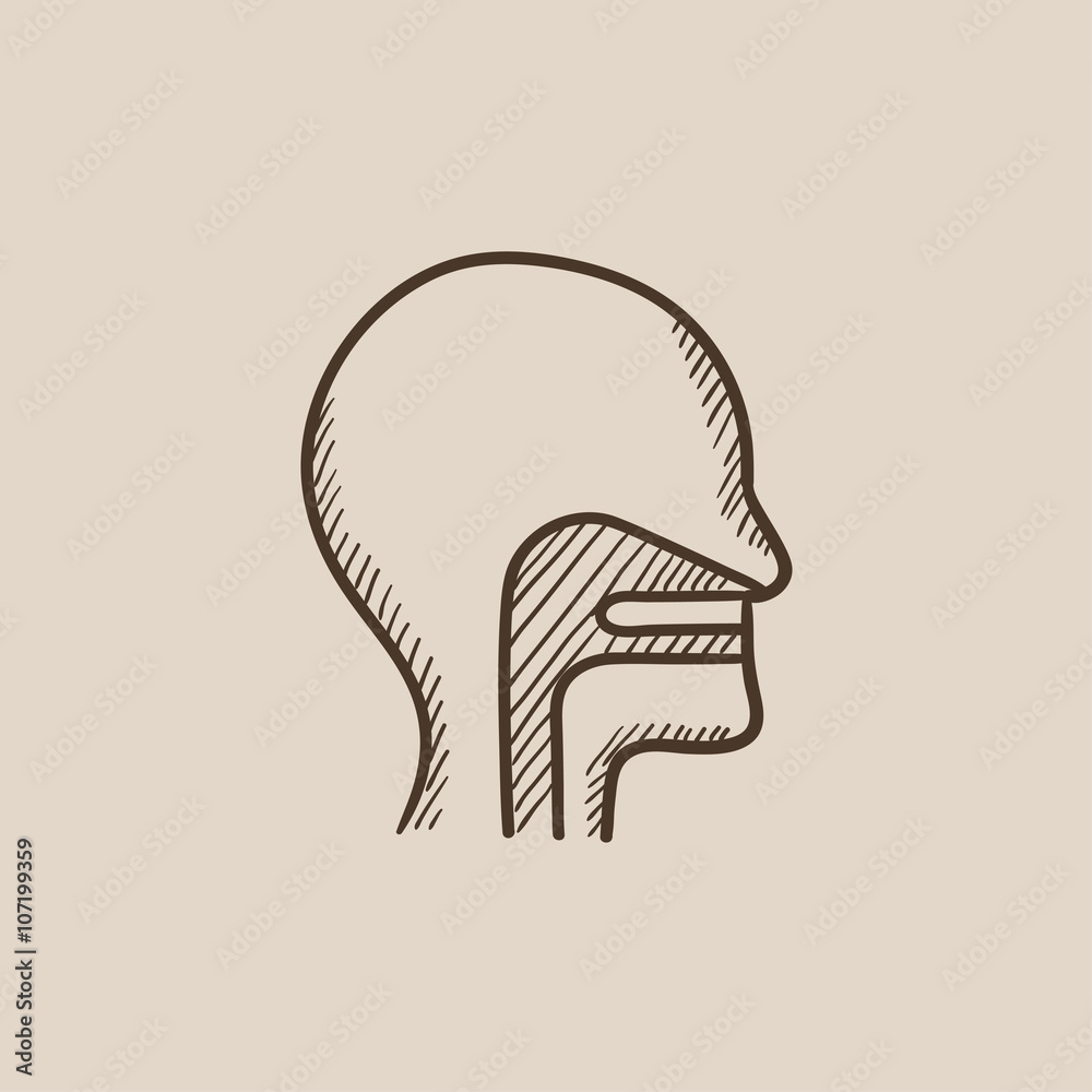 Human head with ear, nose, throat system sketch icon. Human head with ear, nose, throat system sketch icon.