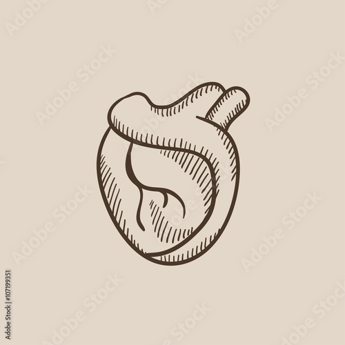 Heart sketch icon.