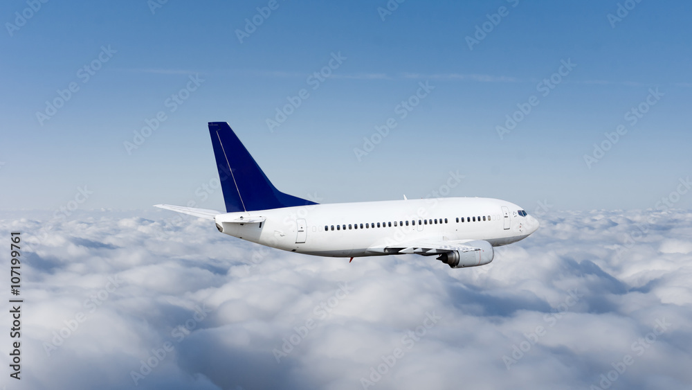 Fototapeta premium Airplane in the sky. Large passenger plane