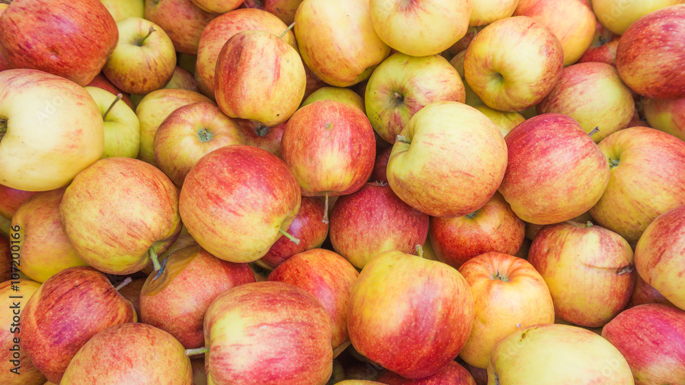 fresh red and yellow apples. Group of apples fresh red and yellow apples. Group of apples