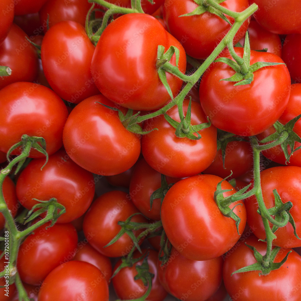 fresh tomatoes. red tomatoes background. Group of tomatoes fresh tomatoes. red tomatoes background. Group of tomatoes