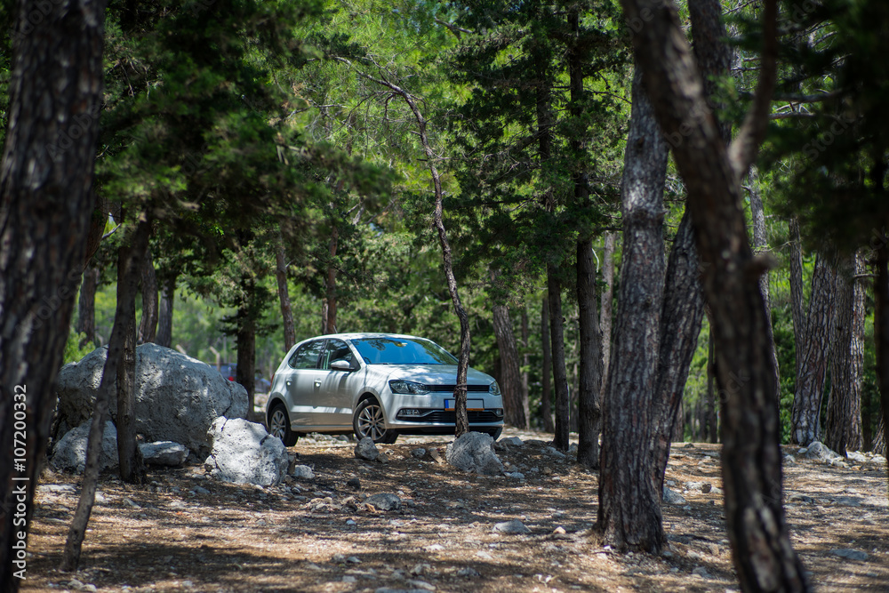 White Car Cooling down in Pinewoods in Summer White Car Cooling down in Pinewoods in Summer