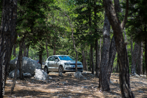 White Car Cooling down in Pinewoods in Summer © DanliePhoto
