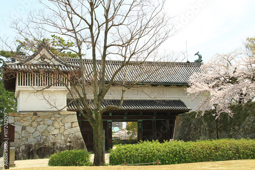 佐賀城鯱の門 photo