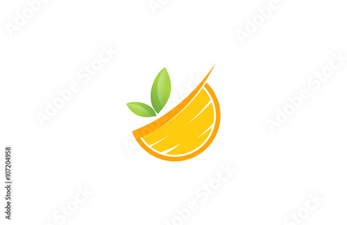 abstract fruits orange vector logo